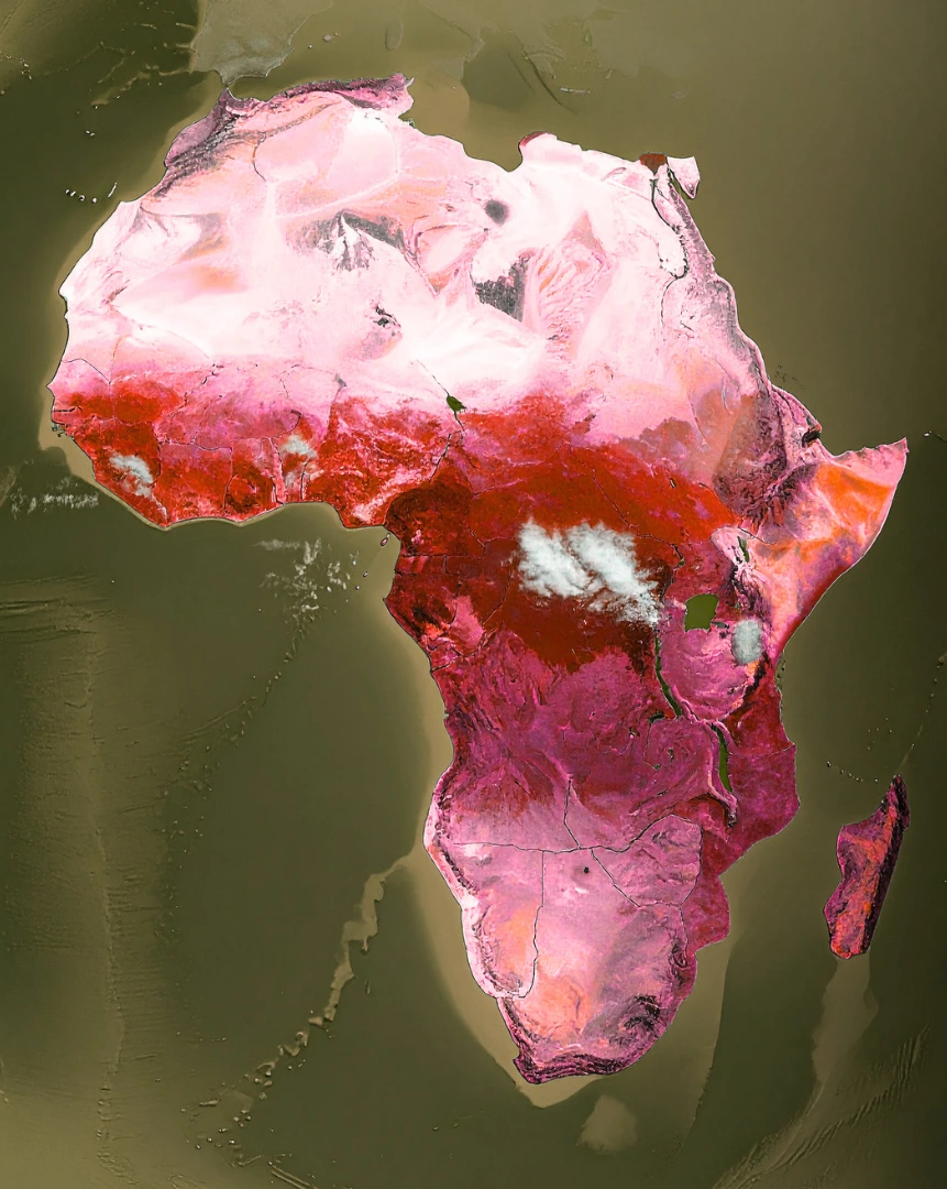 Africa incidence map